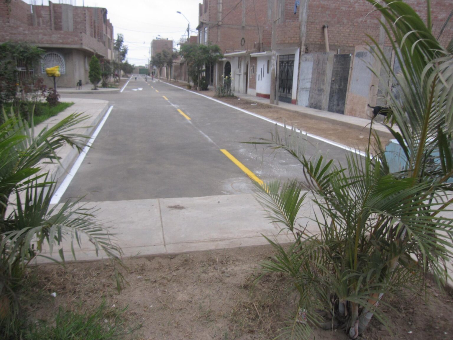 19488572 1026282044175801 9092565908645517361 o